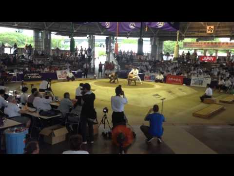 Чемпионат мира по Сумо 2015 г.Осака,Япония. (Галета)