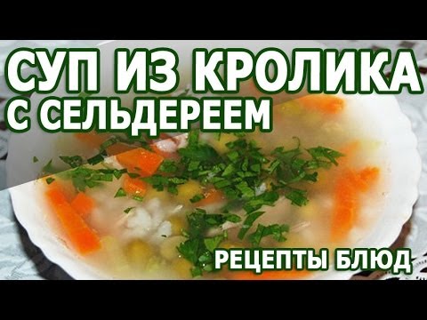 Рецепты блюд  Суп из кролика с сельдереем рецепт приготовления