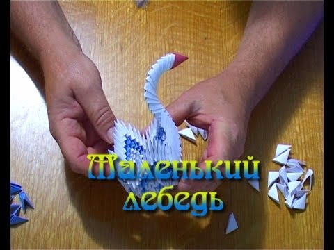 Модульное оригами. Маленький лебедь (3D origami)