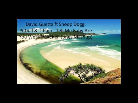 David Guetta ft Snoop Dogg, Pitbull & T-Pain - Tell Me Baby Are You Wet (Mitchell Jones Mashup)