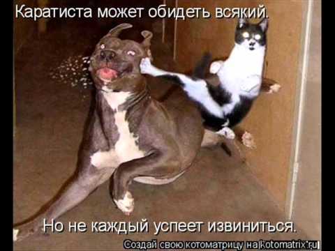 Смешные фото животных)Ржака).wmv