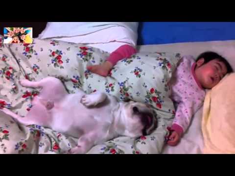 Домашние животные и дети спят вместе