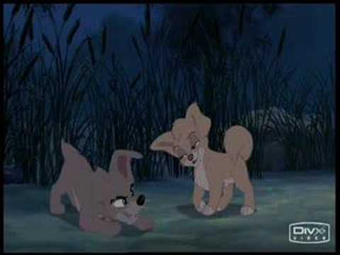 Lady and the Tramp I & II Music Video - Bella Notte