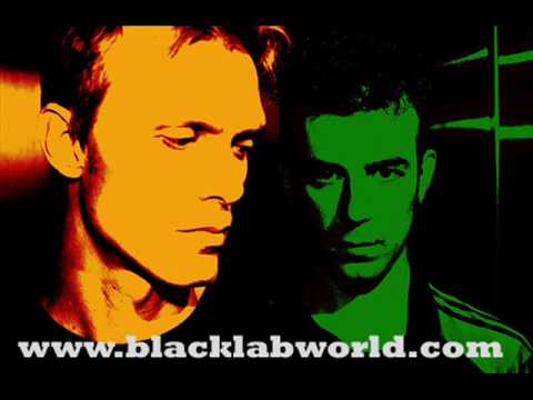 Black Lab - The Window