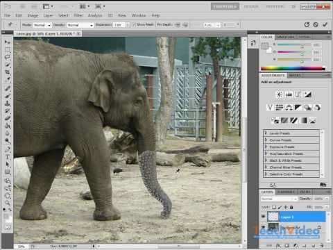 Марионеточная деформация в Adobe Photoshop CS5 (6/19)
