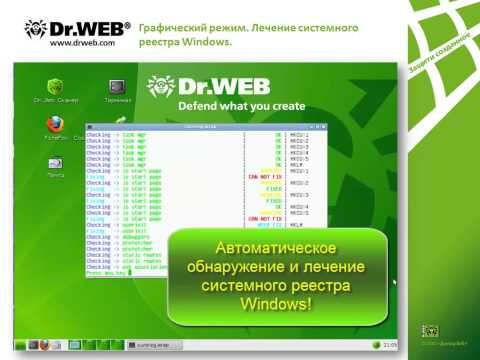 Удаление вирусов с помощью Dr.Web LiveCD