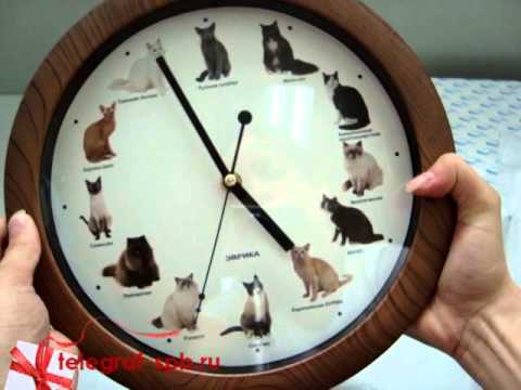 Настенные часы - Мяукающие кошки