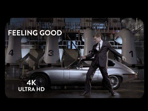 Michael Bublé - Feeling Good (Video)