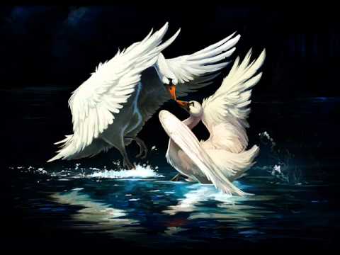 Swan Lake - Metal Version
