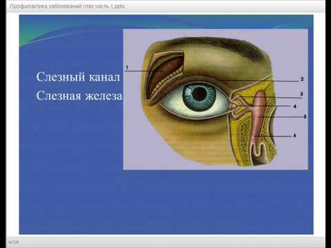 Комплексное лечение и профилактика органов зрения прибором биорезонансной терапии  RADIANT-ULTIMATE