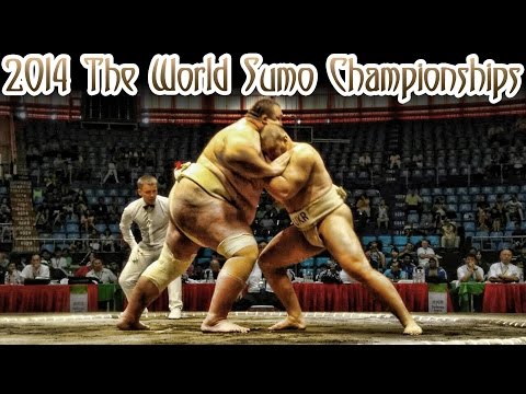 19-ый Чемпионат Мира по Сумо