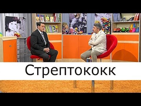Стрептококк - Школа доктора Комаровского