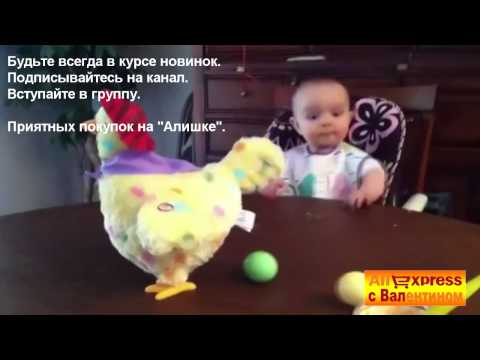 Ребенок в шоке Курица несет яйца
