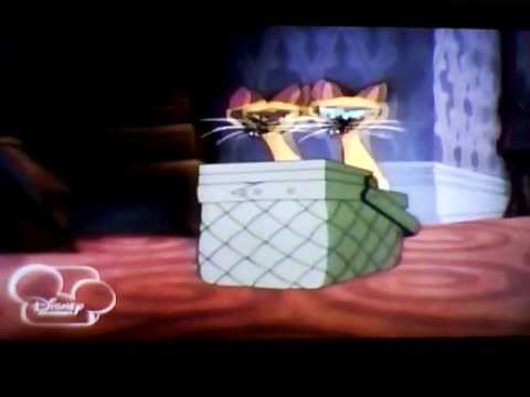 Lady and the Tramp -- Siamese Cat (Mandarin Chinese)