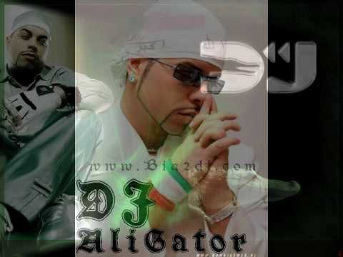 Dj Alligator Project  - Left me lonely for you