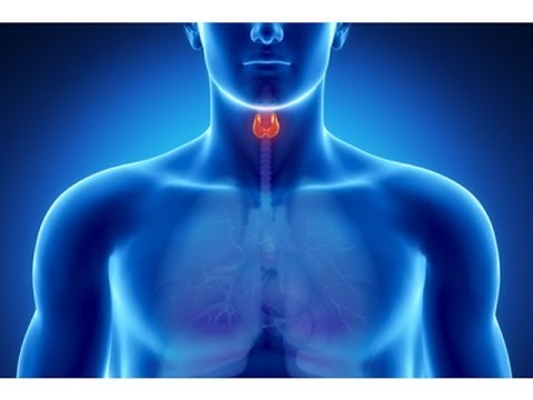 Гипотиреоз? Правильное ли лечение щитовидной железы?!