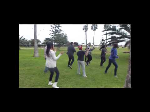 Cotton eye Joe flash mob by Dance Team AIESEC PERU