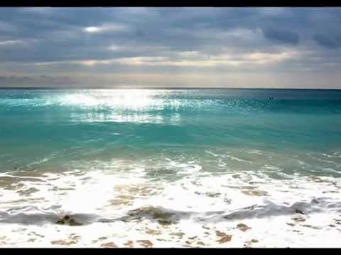 VACUUM  -  The Ocean