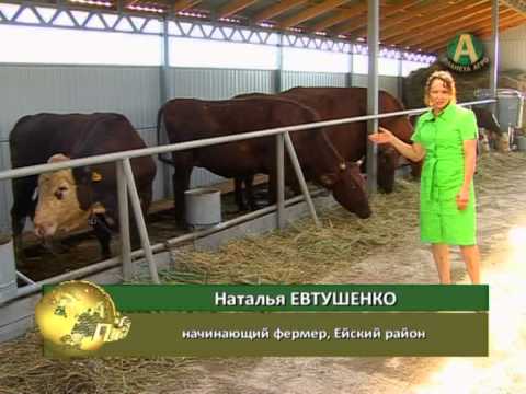 Планета АГРО - фермер Наталья Евтушенко