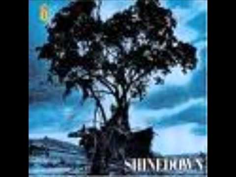 Shinedown - 45 (Acoustic)