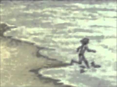 Дубовый ГаайЪ (Dolphin) - Мишины дельфины
