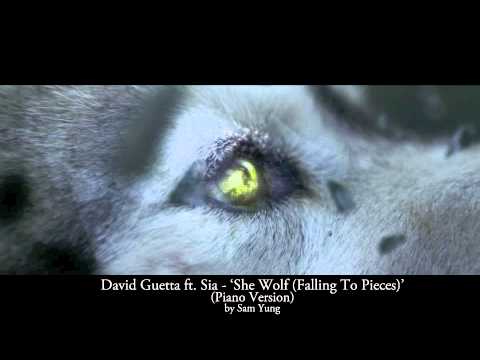 'She Wolf (Falling To Pieces)' - David Guetta ft. Sia - (Piano Cover) by Sam Yung