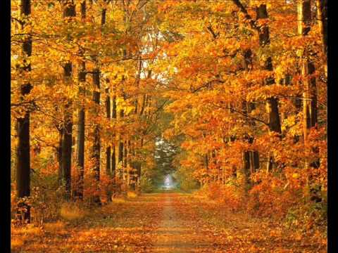 Autumn Leaves- ( Natalie Cole)