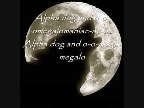 Fall out Boy - Alpha Dog  (Lyrics)