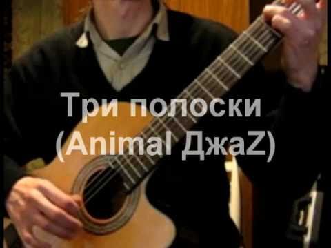 Три полоски (Animal ДжаZ) - переложение для гитары
