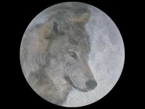 Rainbow- Wolf To The Moon