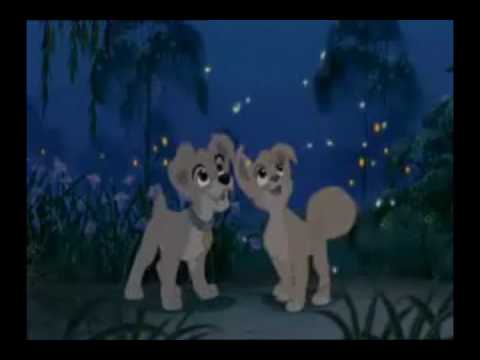 Lady and the Tramp 2-Ive never had this feeling before Lyrics.