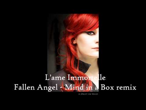 Fallen Angel (Mind In A Box Rmx) - L'ame Immortelle (1080p HD)