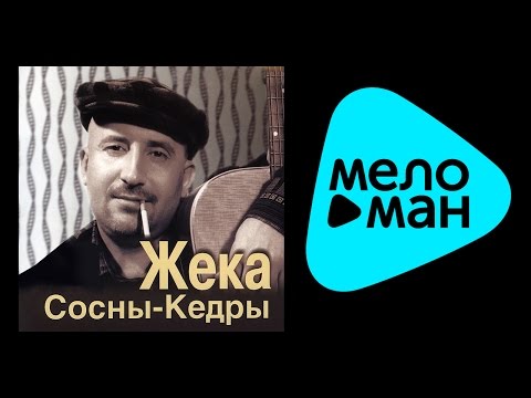 ЖЕКА - СОСНЫ КЕДРЫ / ZHEKA - SOSNY - KEDRY