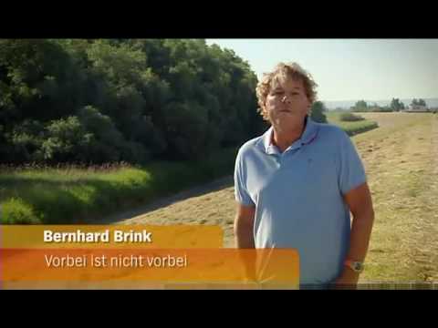 Bernhard Brink - Vorbei ist nicht vorbei 2010